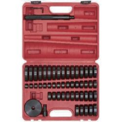 BEARING RACE AND DRIVER SET 52 PIECE